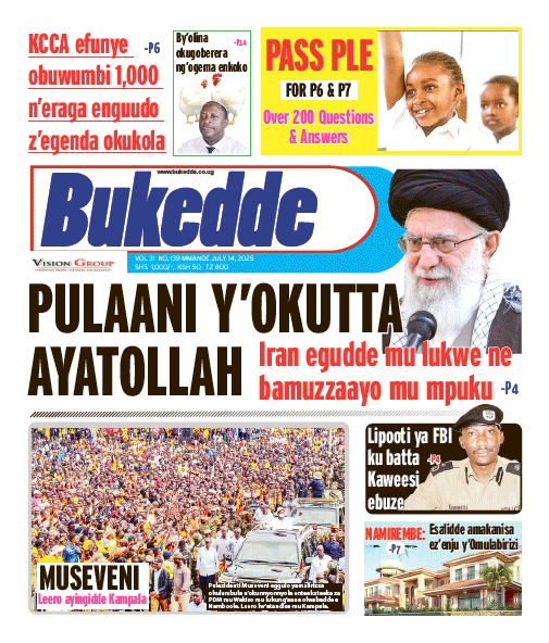 New Vision E-Paper